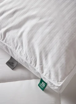 Divine down pillow