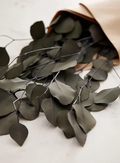 Dried eucalyptus populus wreath