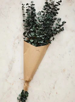 Dried eucalyptus wreath