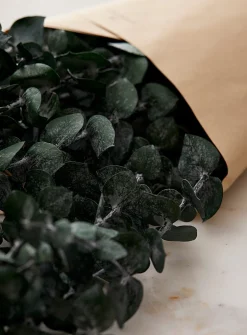 Dried eucalyptus wreath