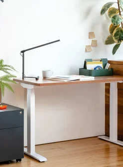 Duo standing desk
