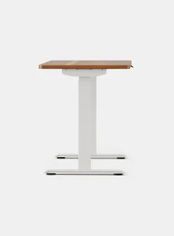 Duo standing desk