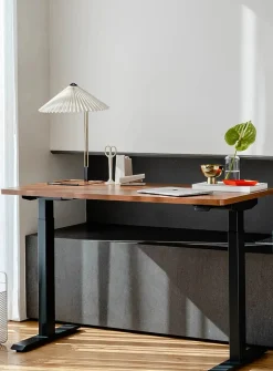 Duo standing desk