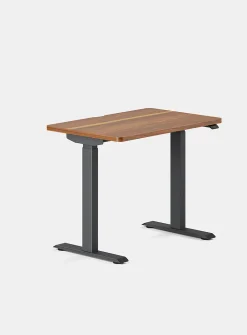 Duo standing desk