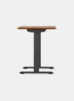 Duo standing desk