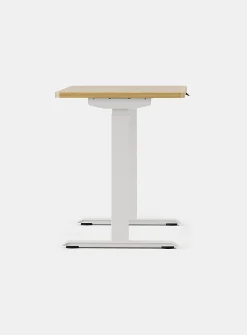 Duo standing desk