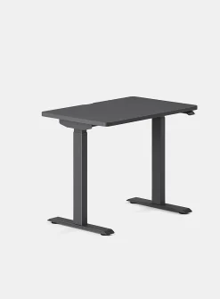 Duo standing desk