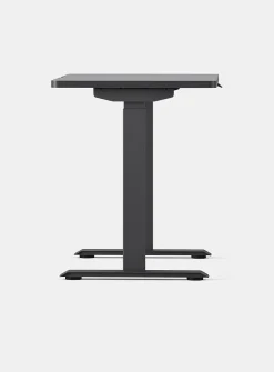 Duo standing desk