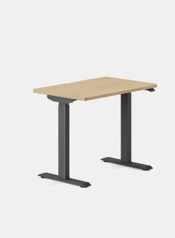 Duo standing desk