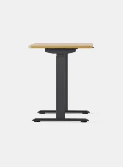 Duo standing desk