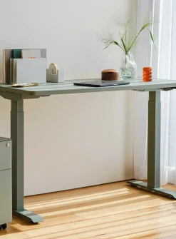 Duo standing desk