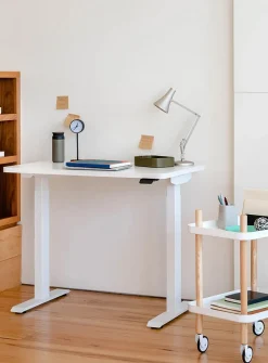 Duo standing desk