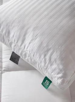Duveteuse feather and down pillow