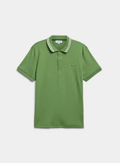 Exclusive striped-collar jersey polo