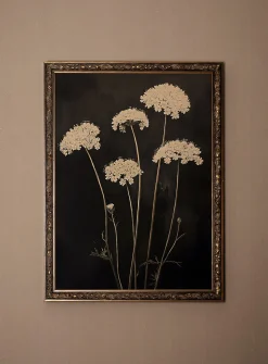 Fleur de minuit art print