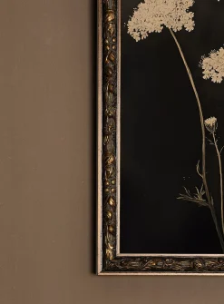 Fleur de minuit art print