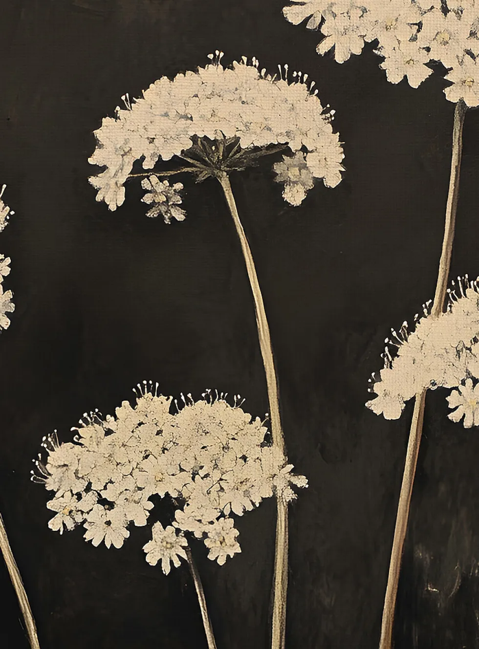 Fleur de minuit art print
