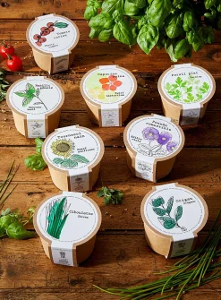 Flowers and herbs to grow