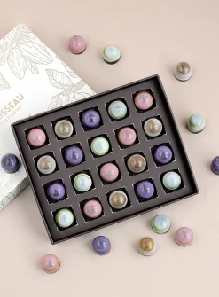 Gourmet caramel chocolates box
