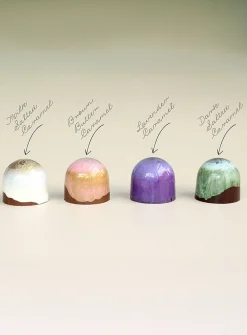 Gourmet caramel chocolates box