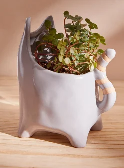 Grey kitty planter