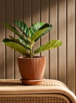 Grooved terracotta planter