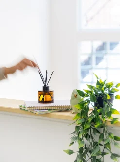Hinoki reed diffuser