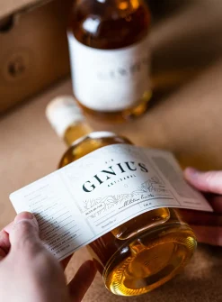 Homemade gin kit