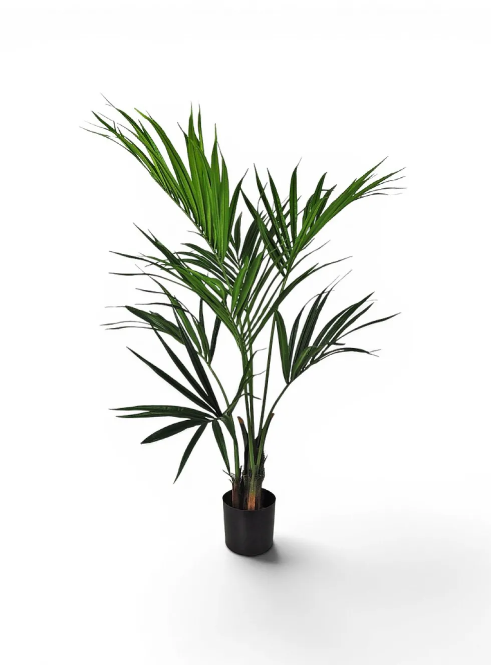 Imitation Kentia palm tree