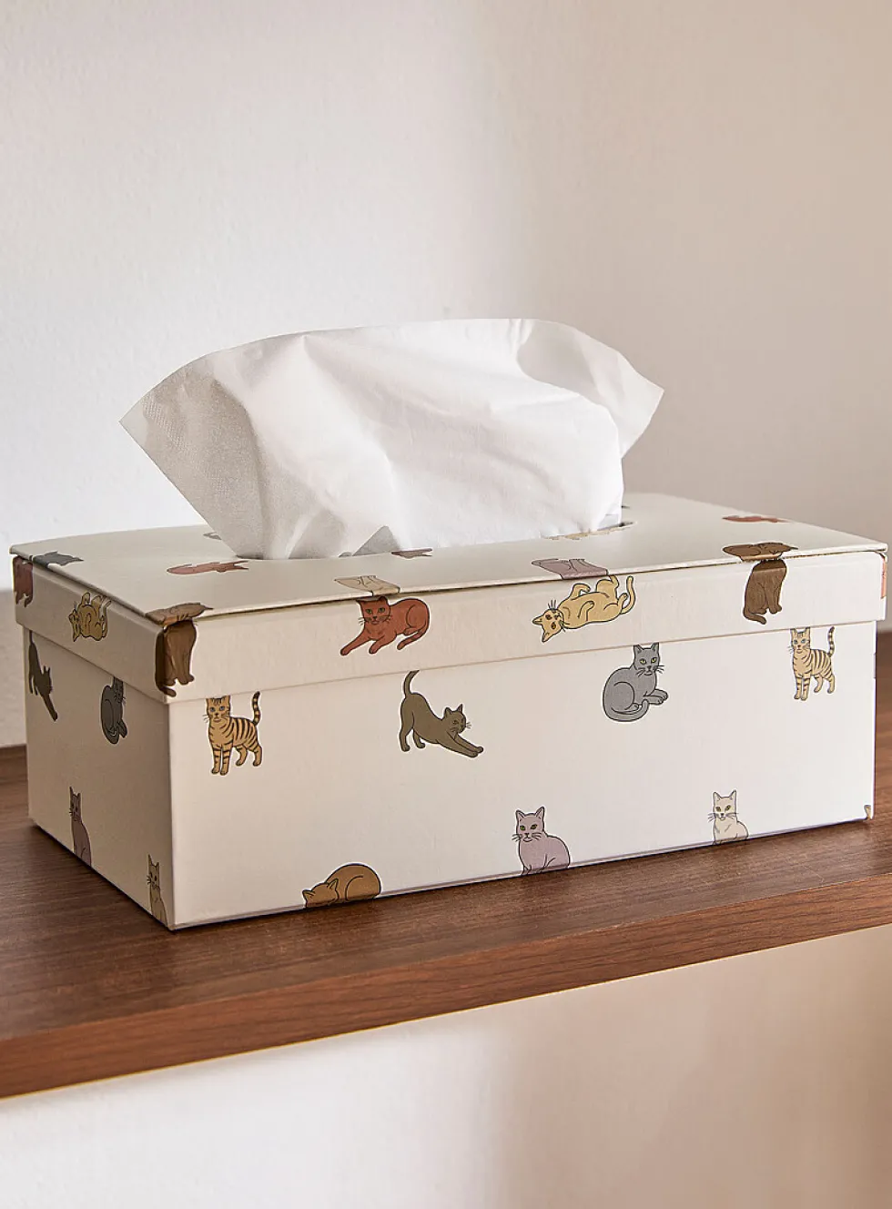 Kitties tissue box
