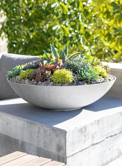 Lane enlarged planter