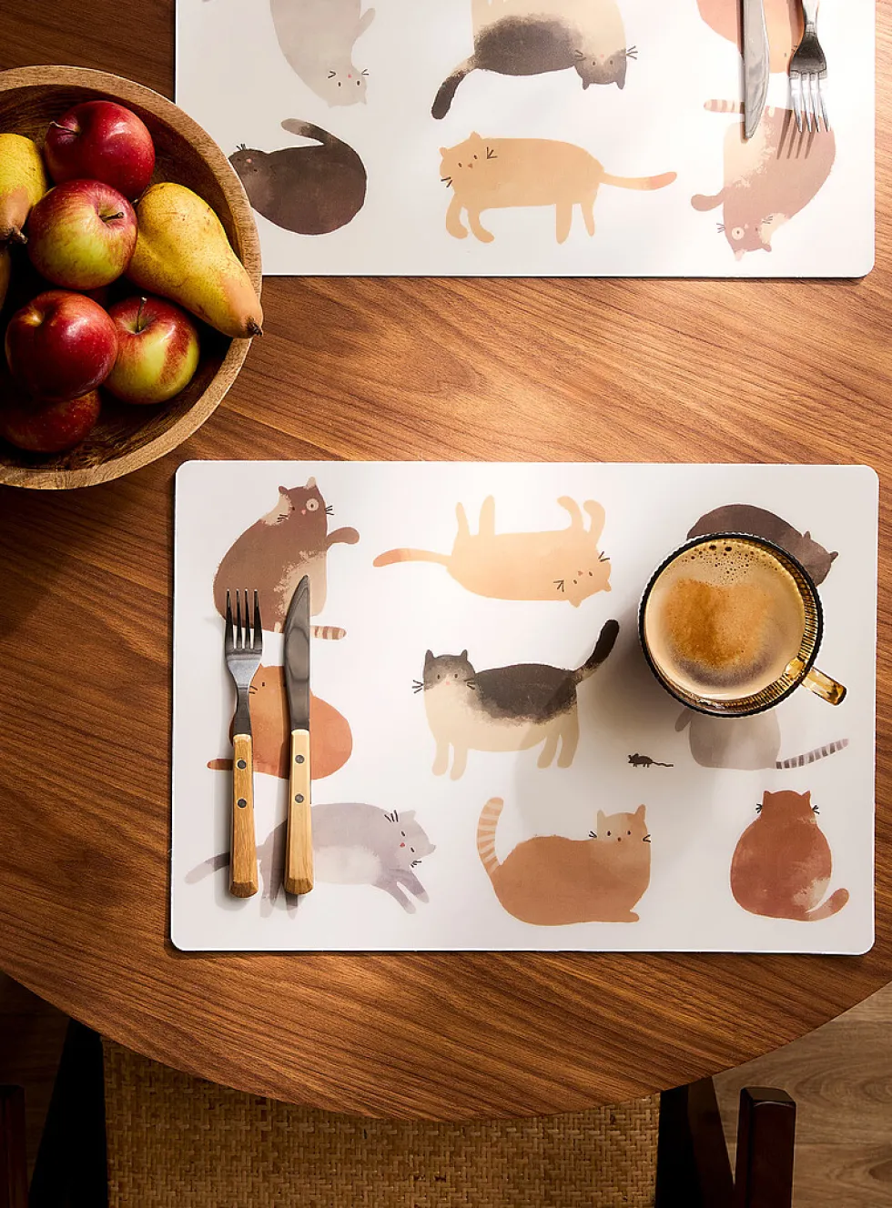 Large cats vinyl placemats