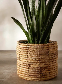 Large twisted water hyacinth planter