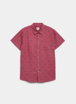 Little bicycle shirt