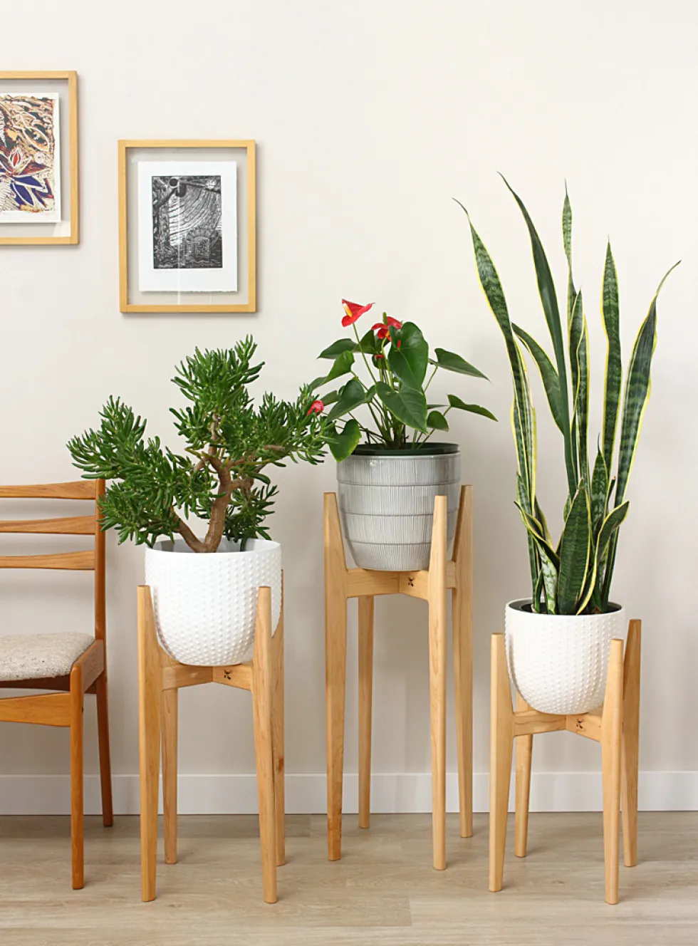 Maple plant stand