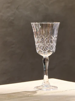 Marquis acrylic wine glass