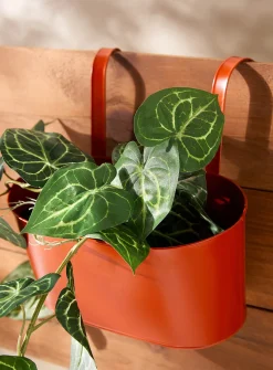 Metallic hanging planter