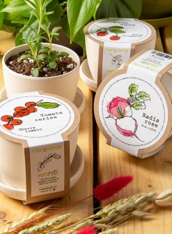 Mini vegetables to grow