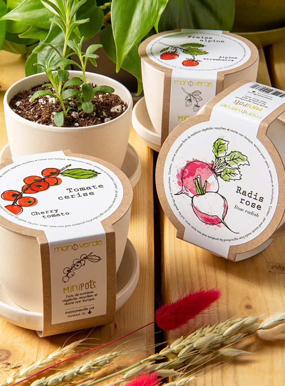 Mini vegetables to grow