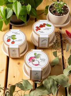 Mini vegetables to grow