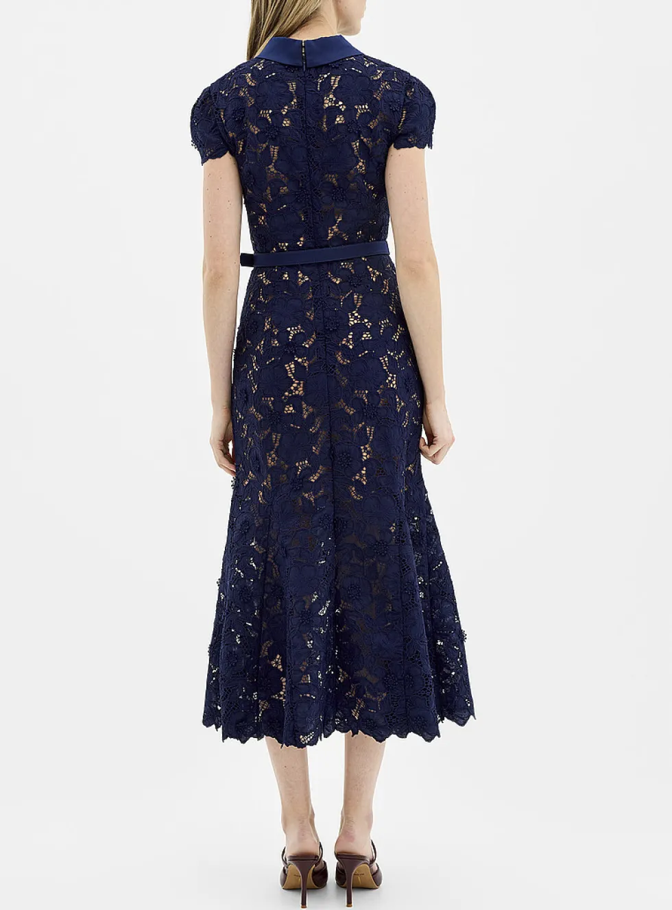 Openwork lace point-collar dress