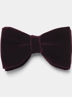 Oversized rich velvet bow tie
