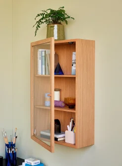 Panorama wall cabinet