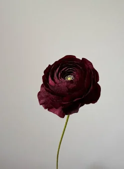 Paper buttercup stem