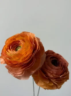 Paper buttercup stem