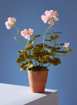 Paper geranium jar