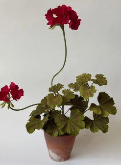 Paper geranium jar