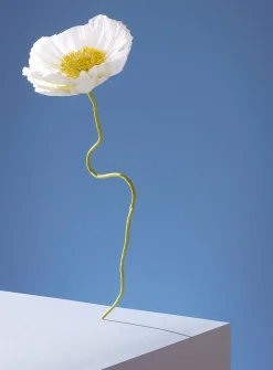 Paper Iceland poppy stem