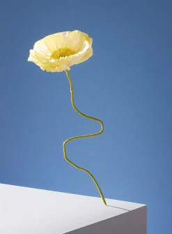 Paper Iceland poppy stem