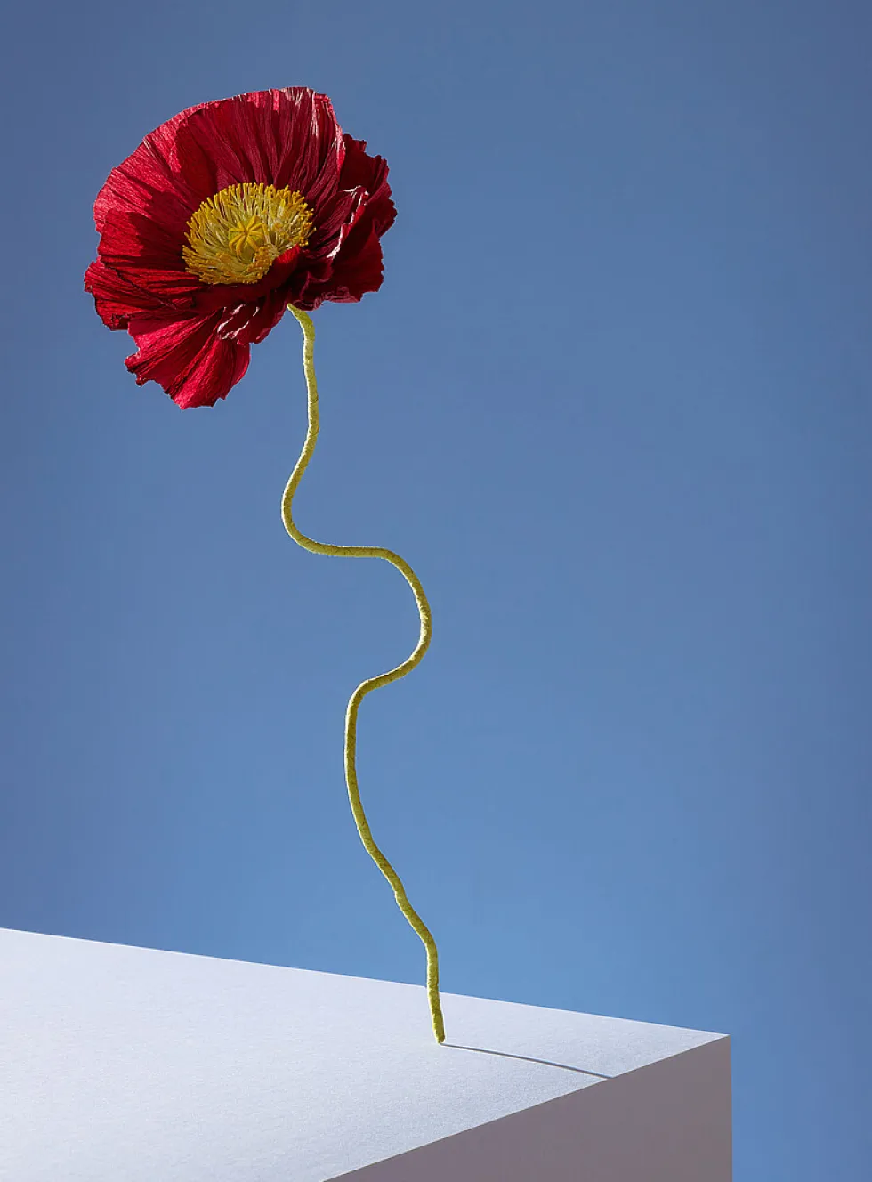 Paper Iceland poppy stem